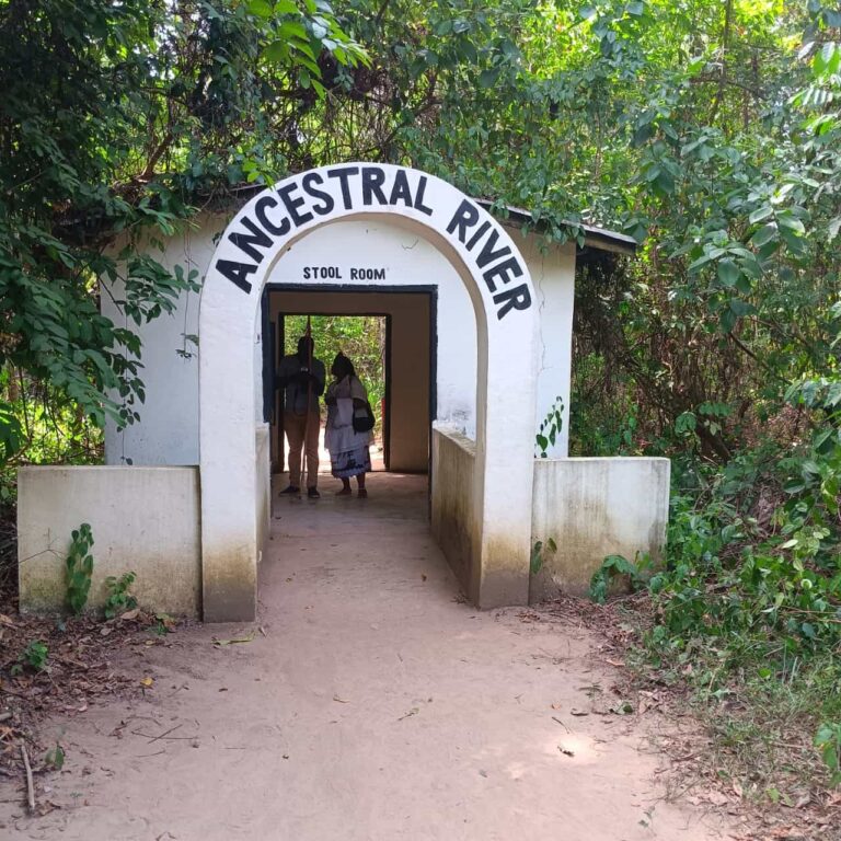 WhatsApp Image 2024-10-22 at 17.47